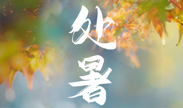 九五至尊VI-老品牌值得信赖!