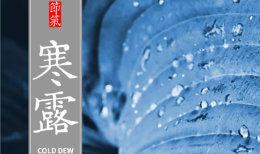 九五至尊VI-老品牌值得信赖!