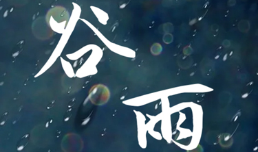 九五至尊VI-老品牌值得信赖!